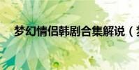 夢幻情侶韓劇合集解說(夢幻情天官網)
