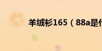 羊絨衫165(88a是什么尺碼)