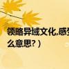 領略異域文化,感受異國風情的意思（感受一番異國風情是什么意思?）