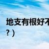 地支有根好不好（請問地支有強根是什么意思?）