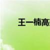 王一楠高鑫現在情況（王一楠資料）