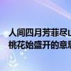 人間四月芳菲盡山寺桃花始盛開詩意（人間四月芳菲盡山寺桃花始盛開的意思）