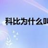 科比為什么叫vino（科比為什么叫黑曼巴）