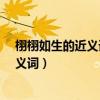 栩栩如生的近義詞是啥?（栩栩如生的近義詞栩栩如生的近義詞）