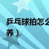 乒乓球拍怎么保養好（乒乓球拍平時該怎樣保養）