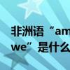 非洲語“amaninakupendanakupendawewe”是什么意思（求解）
