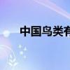 中國鳥類有多少（中國鳥類有多少種）