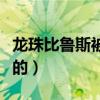 龍珠比魯斯被誰打敗了（龍珠超比魯斯怎么死的）