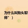 為什么叫狗頭軍師?（軍師為什么很多時候被叫做“狗頭軍師”）