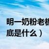 明一奶粉老板是誰（明一奶粉最新事件事實到底是什么）