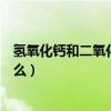 氫氧化鈣和二氧化碳反應在什么條件下進行（反應產物是什么）