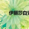 伊麗莎白安肖特（伊麗莎白 安 肖特）