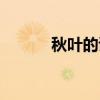 秋葉的詩句小學（秋葉的詩句）