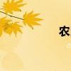 農民影視（農民鴻濤）