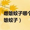 雌雄蚊子哪個咬人（咬人的蚊子是雌蚊子還是雄蚊子）