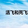 活飛和死飛哪個好（活飛和死飛的區別）