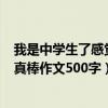 我是中學生了感覺真棒作文500字初一（我是中學生了感覺真棒作文500字）