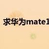 求華為mate109.1相機下載（求華為mate）