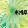 惠州桑拿酒店推薦（惠州桑拿）