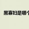 黑寡婦是哪個國家的（黑寡婦是哪部電影）