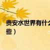 貴安水世界有什么好玩的項目（貴安水世界的游玩項目有哪些）