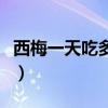 西梅一天吃多少比較好（西梅一天吃多少合適）