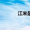 江米是什么米（江米是什么）
