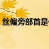 絲偏旁部首是什么字（絲偏旁部首是什么字）