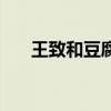 王致和豆腐乳是哪的（王致和豆腐乳）