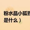 粉水晶小狐貍的寓意是什么（粉晶狐貍的含義是什么）