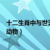 十二生肖中與世無爭的是什么動物（十二生肖中與世無爭的動物）