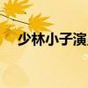 少林小子演員表介紹（少林小子演員表）