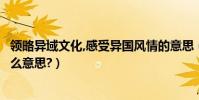 領略異域文化,感受異國風情的意思(感受一番異國風情是什么意思?)