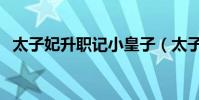 太子妃升職記小皇子(太子妃升職記網盤)