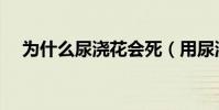 為什么尿澆花會死(用尿澆花花會死么)