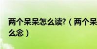 兩個呆呆怎么讀?(兩個呆‘呆呆’這個字怎么念)