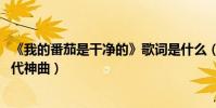 《我的番茄是干凈的》歌詞是什么(誰寫的 為什么成為新一代神曲)