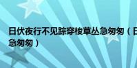日伏夜行不見蹤穿梭草叢急匆匆(日伏夜行不見蹤穿梭草叢急匆匆)