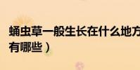 蛹蟲草一般生長在什么地方(蛹蟲草種植條件有哪些)