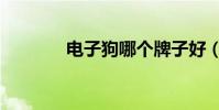電子狗哪個牌子好(求推薦)
