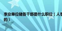 事業單位儲備干部是什么職位(人事行政儲備干部是干什么的)