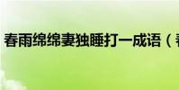 春雨綿綿妻獨睡打一成語(春雨綿綿妻獨睡)