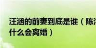 汪涵的前妻到底是誰(陳潔還是林菁 汪涵為什么會離婚)