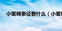 小蜜蜂象征著什么(小蜜蜂象征什么人)