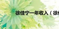 徐佳寧一年收入(徐佳寧年齡)