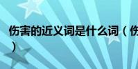 傷害的近義詞是什么詞(傷害的近義詞是什么)