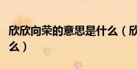 欣欣向榮的意思是什么(欣欣向榮的意思是什么)
