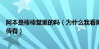 阿本是棒棒堂里的嗎(為什么我看黑糖瑪奇朵沒有黑糖群俠傳有)