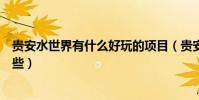 貴安水世界有什么好玩的項目(貴安水世界的游玩項目有哪些)