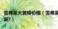 雪弗萊大黃蜂價格(雪弗萊大黃蜂市場價多少啊?)